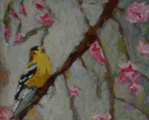 goldfinch in cherry blossoms